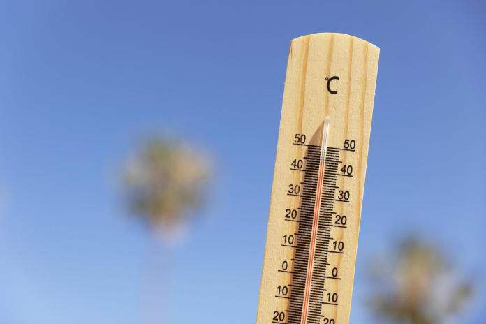 canicule