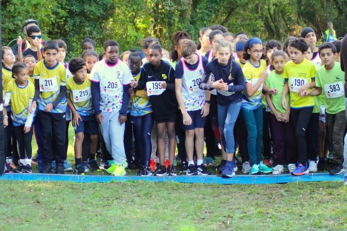 trail des loups