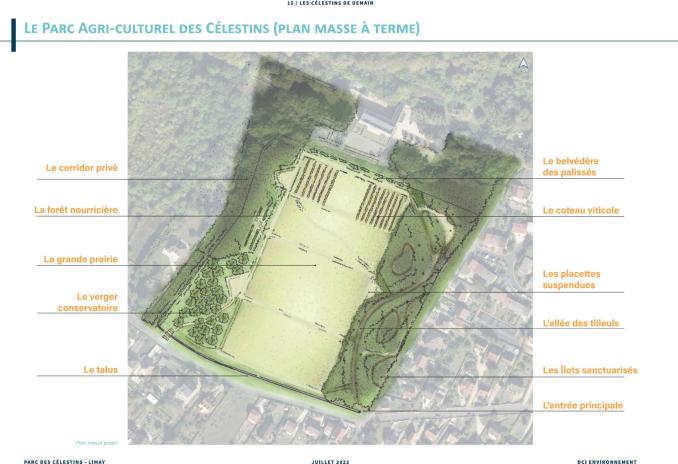 Plan de masse - Parc des Célestins